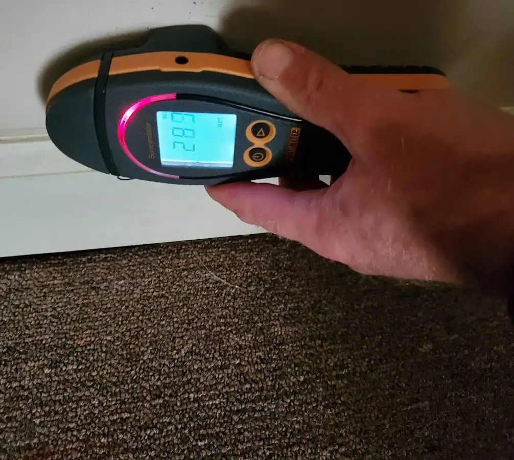 Moisture detection at baseboard during Mold Inspection & Testing in Schererville
